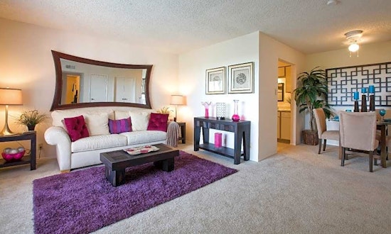 Budget apartments for rent in Riverside, Austin