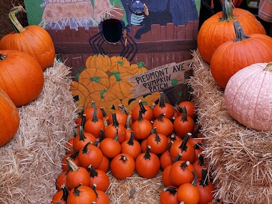 Oakland weekend: Piedmont Avenue Pumpkin Patch, Moonlight Comedy, Drunken Film Fest, more