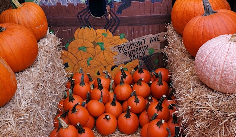Oakland weekend: Piedmont Avenue Pumpkin Patch, Moonlight Comedy, Drunken Film Fest, more