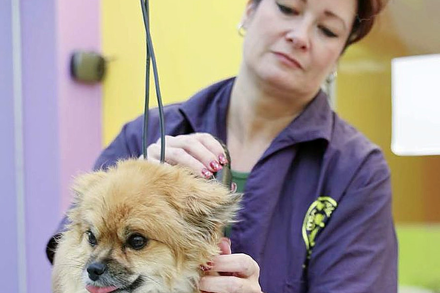 The 5 best pet stores in Colorado Springs