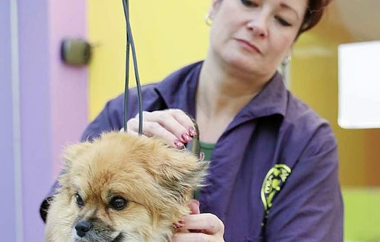 The 5 best pet stores in Colorado Springs
