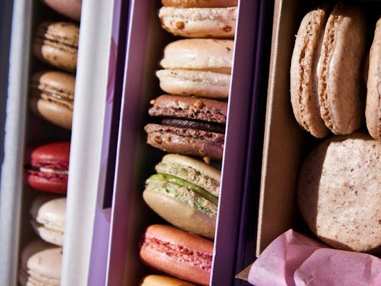 The Many, Many Macarons of Hayes Valley