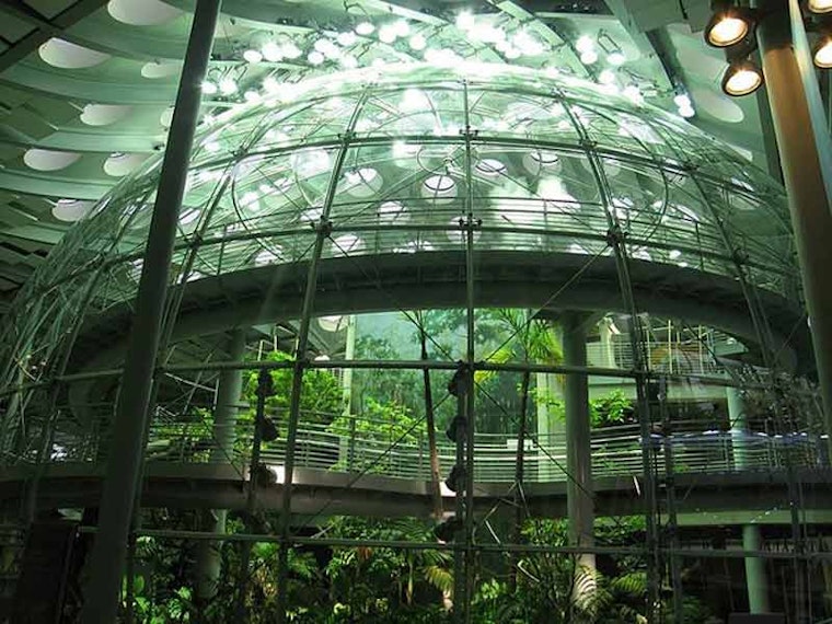 Visit the Academy of Sciences For Free This Weekend