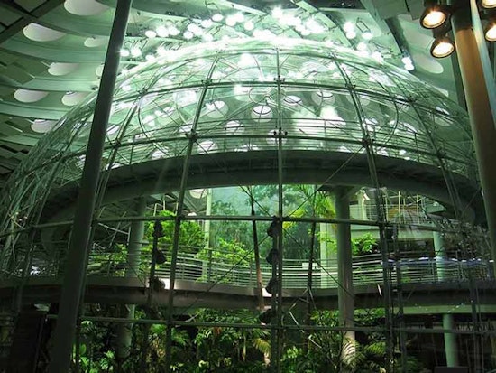 Visit the Academy of Sciences For Free This Weekend
