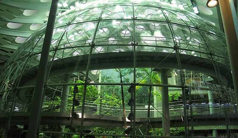 Visit the Academy of Sciences For Free This Weekend