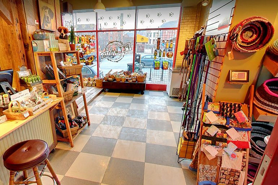 Cincinnati's top 3 pet stores to visit now