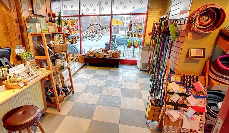 Cincinnati's top 3 pet stores to visit now