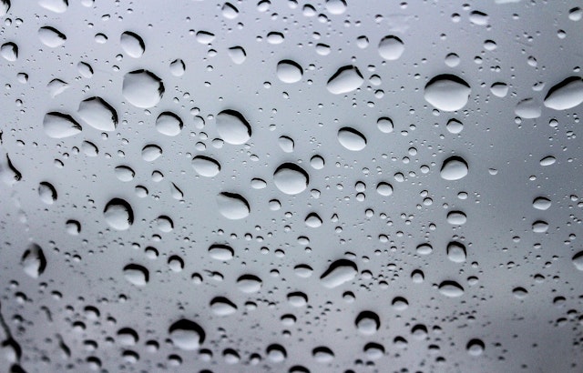 Weather forecast in Corpus Christi