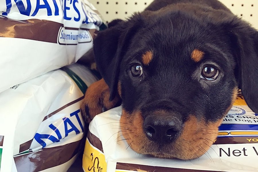 The 4 best pet stores in Anaheim