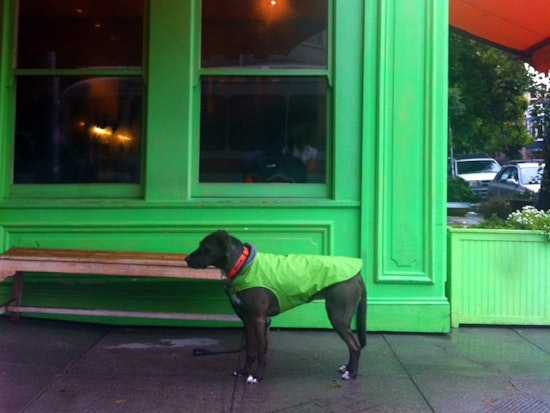 Tips for Spending a Rainy Day in Hayes Valley