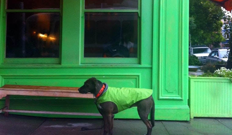 Tips for Spending a Rainy Day in Hayes Valley