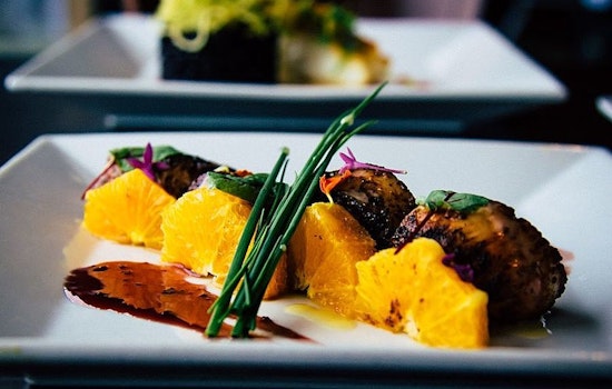 Tampa's 3 top spots to indulge in seafood