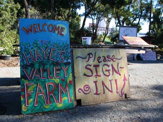 Interdependence Day Today at Hayes Valley Farm