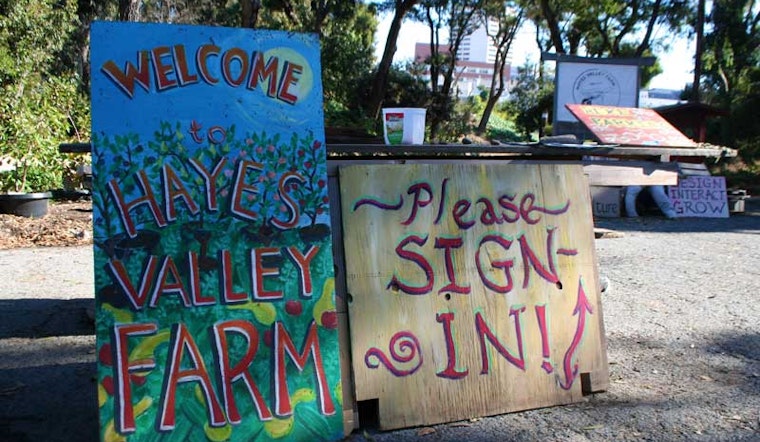 Interdependence Day Today at Hayes Valley Farm