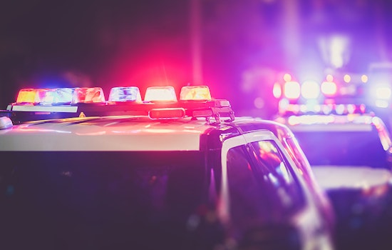Crime going up in Tampa: What's the latest in the trend?