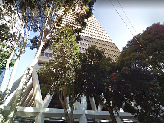 Public Works Rejects Request To Remove Trees At Transamerica Pyramid