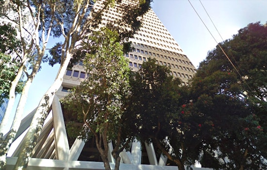 Public Works Rejects Request To Remove Trees At Transamerica Pyramid