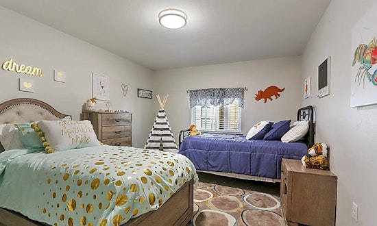 Renting in New Orleans: What's the cheapest apartment available right now?