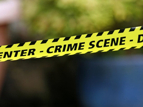 Bizarre Assault at Hayes and Franklin