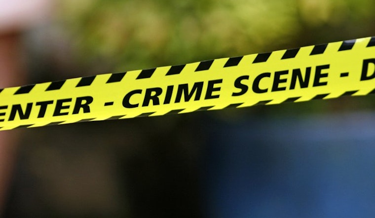 Bizarre Assault at Hayes and Franklin