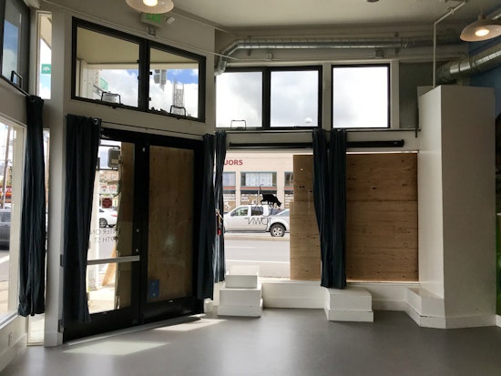 Cats Escape 'Cat Town' Nonprofit After Intruder Smashes Windows [Video]