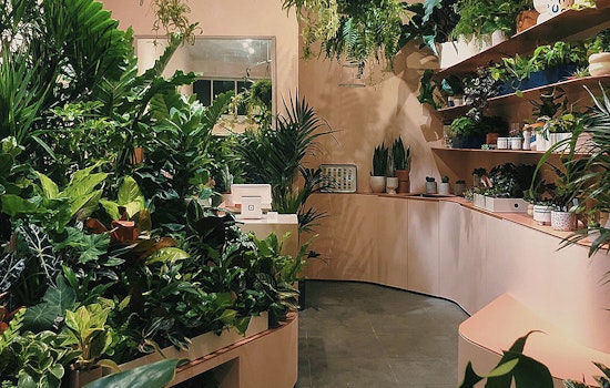 Plants and Friends grows a new branch on Fillmore Street