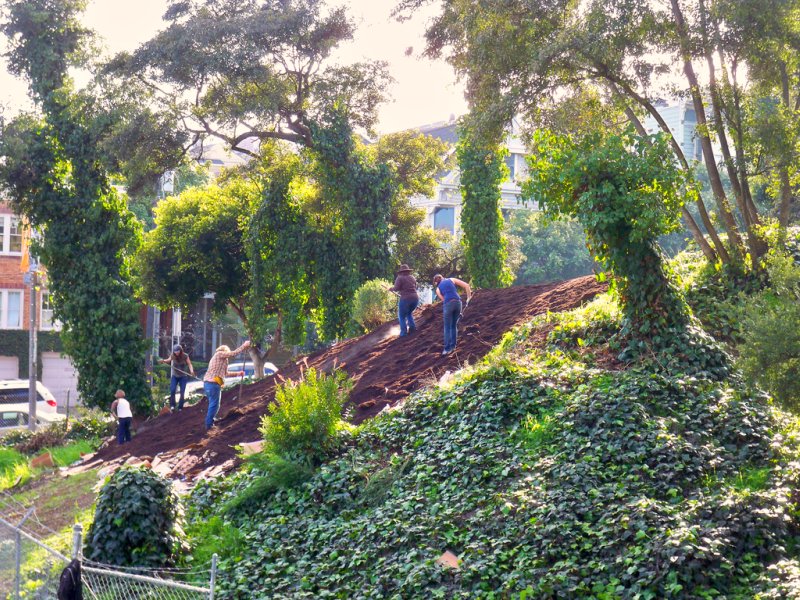 Final Weeks For Hayes Valley Farm