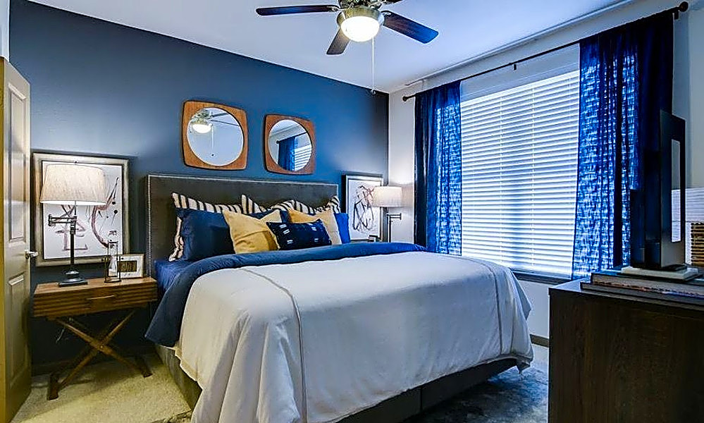 What apartments will 1,000 rent you in Friedrich Wilderness Park,