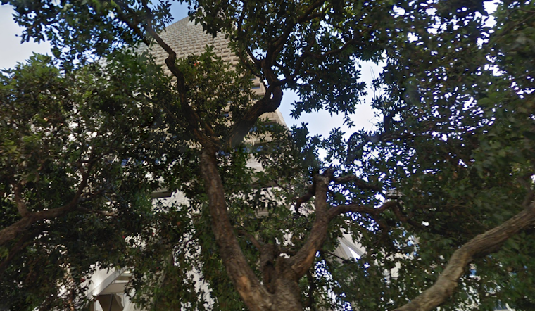 Transamerica Pyramid Withdraws Appeal To Remove Trees