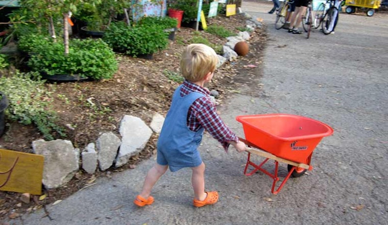 Potluck at Hayes Valley Farm Tomorrow