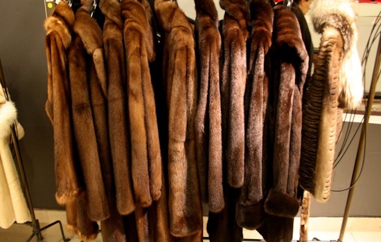 San Francisco Becomes First Major US City To Ban Fur