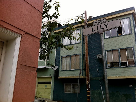 Lily Street Block Sale Saturday