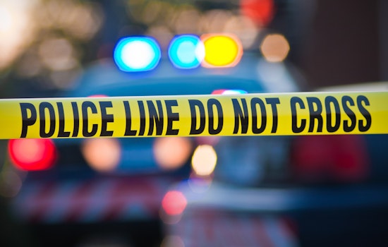Crime going down in St. Petersburg: What's the latest in the trend?