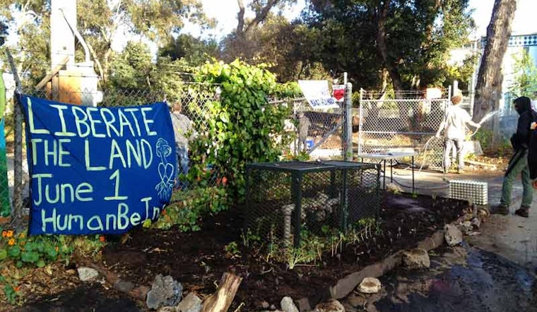"Gezi Gardens" Gets Eviction Notice