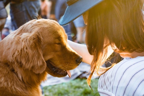 Go free this week with these 5 no-cost events in Tampa