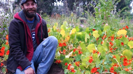 The True Story Behind Hayes Valley Farm