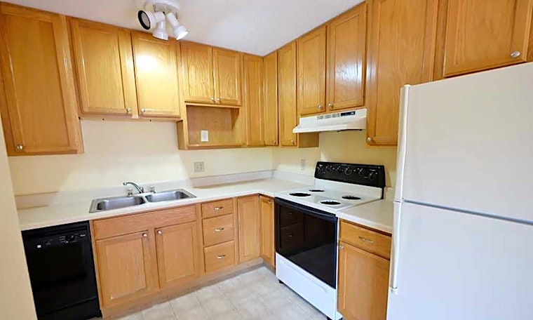 Apartments for rent in Saint Paul: What will $1,000 get you?