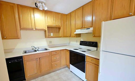 Apartments for rent in Saint Paul: What will $1,000 get you?