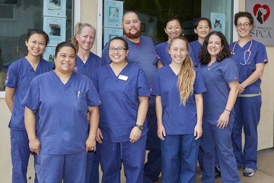 SF SPCA Launches Vet Assistant Apprenticeship Program
