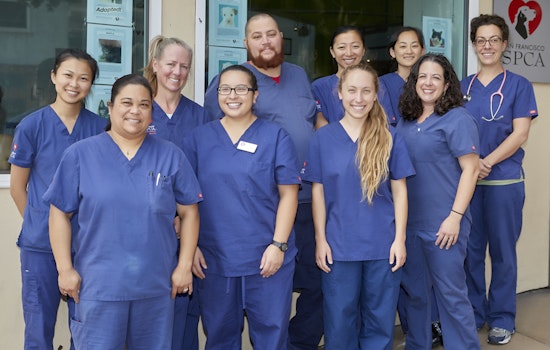 SF SPCA Launches Vet Assistant Apprenticeship Program
