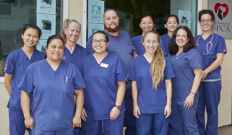SF SPCA Launches Vet Assistant Apprenticeship Program