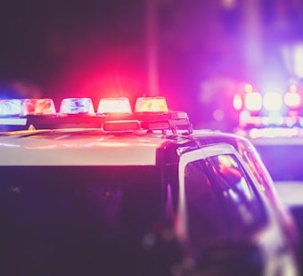Albuquerque crime dropping: Which offenses are leading the trend?