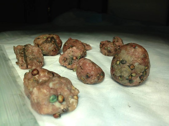 Poisoned Meatballs Found in Hayes Valley