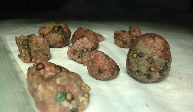 Poisoned Meatballs Found in Hayes Valley