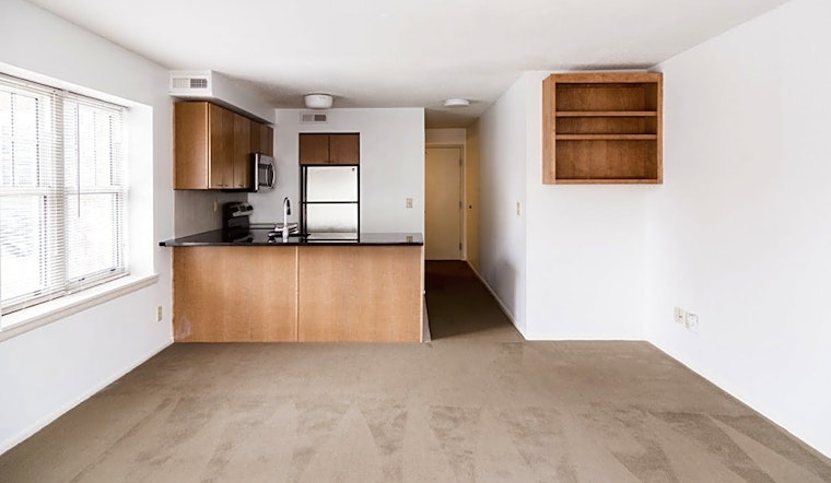 What apartments will $900 rent you in Central Hyde Park, this month?