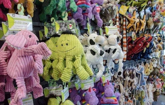 The 5 best pet stores in Baltimore