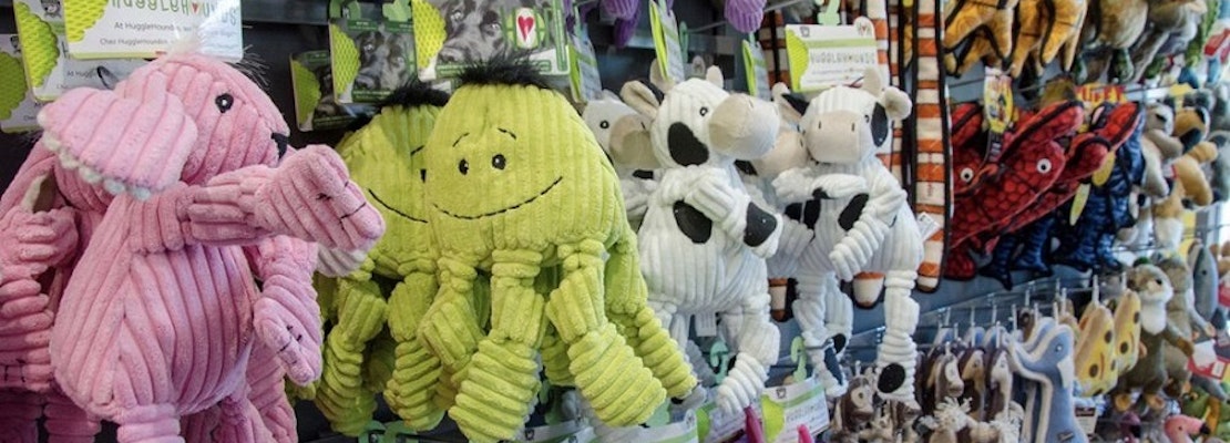 The 5 best pet stores in Baltimore
