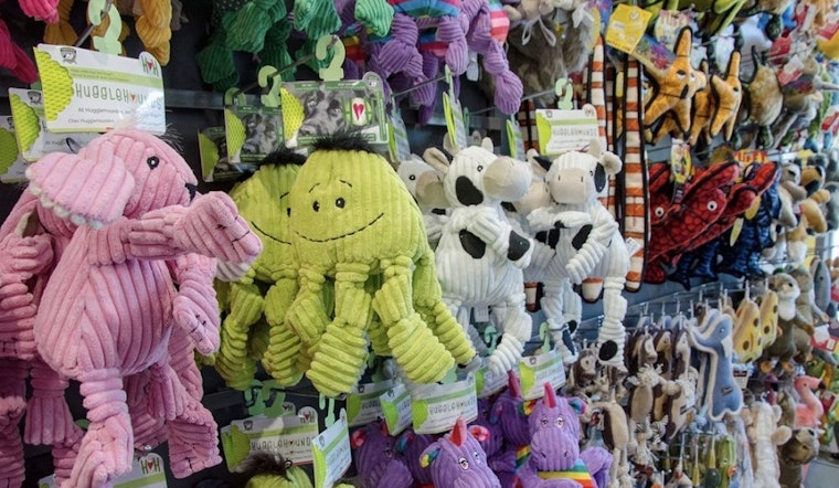 The 5 best pet stores in Baltimore