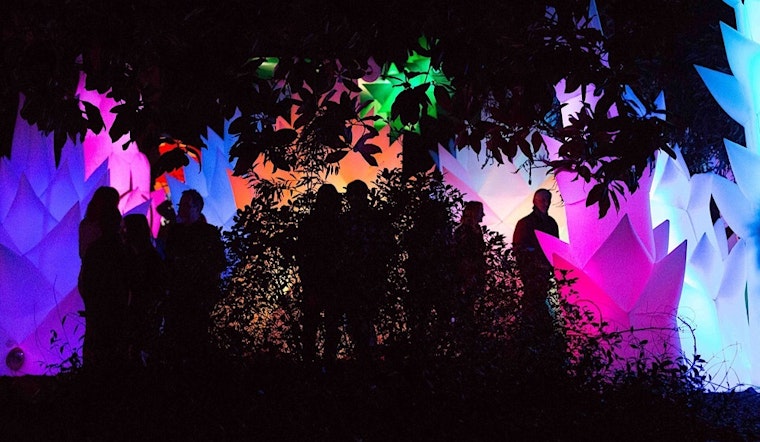 Oakland weekend: Autumn Lights Festival, Comedy Festival, Day of the Dead at OMCA, more