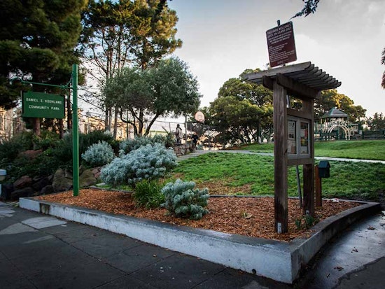 Help Clean Up Koshland Park Today